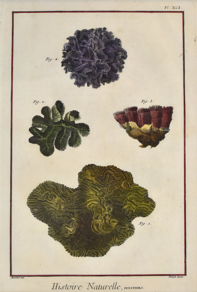 Histoire Naturelle, Polypiers Pl. XCI: Diderot 1780