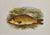 Old print of a carp
