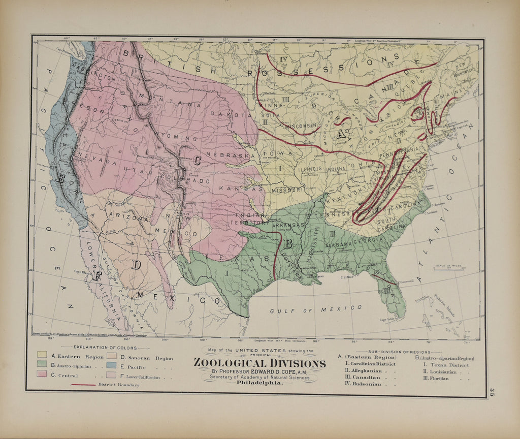 Map of the United States Showing the Zoological Divisions: Gray 1873