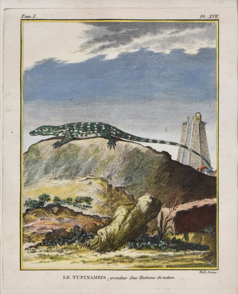 Antique print of a lizard