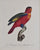 Le Perroquet Lori à collier jaune: Barraband 1801-05