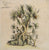 Antique botanical print