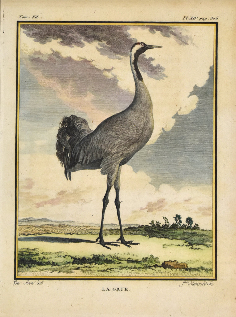 antique print of a crane