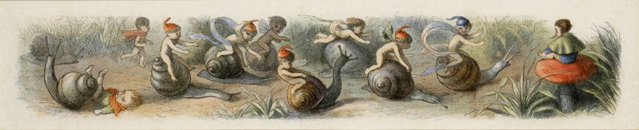 Race Of Snails: Richard Doyle 1870