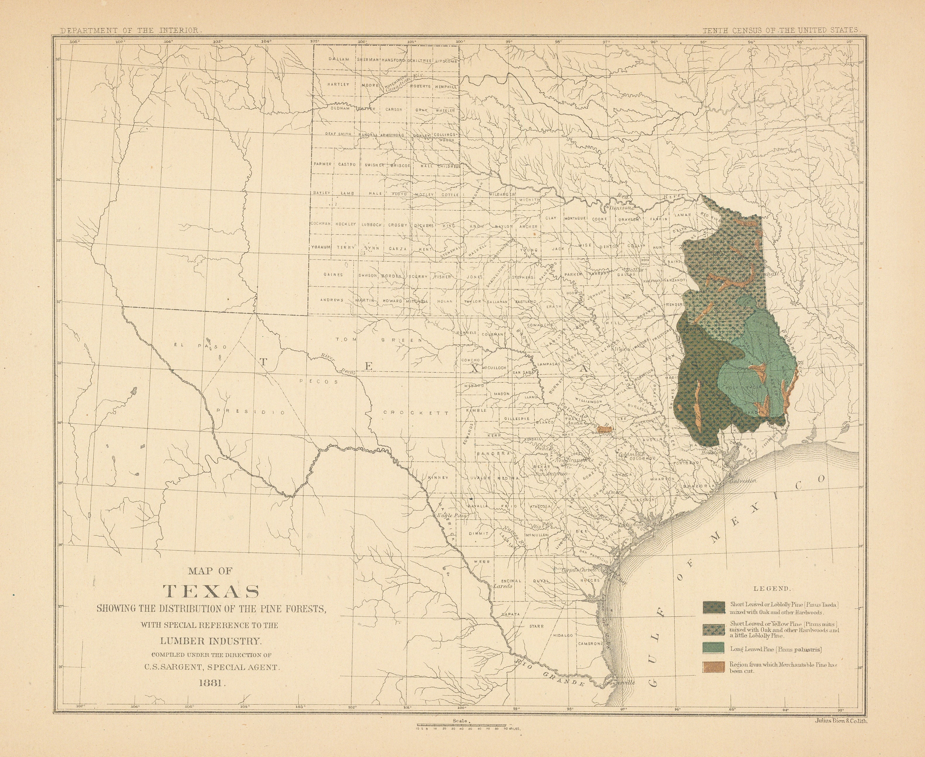 Map of Texas showing the distribution of the pine forests...: C. S. Sa ...
