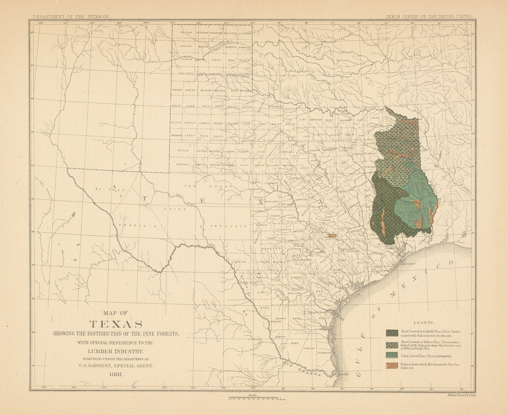 Map of Texas showing the distribution of the pine forests...: C. S. Sargent 1881
