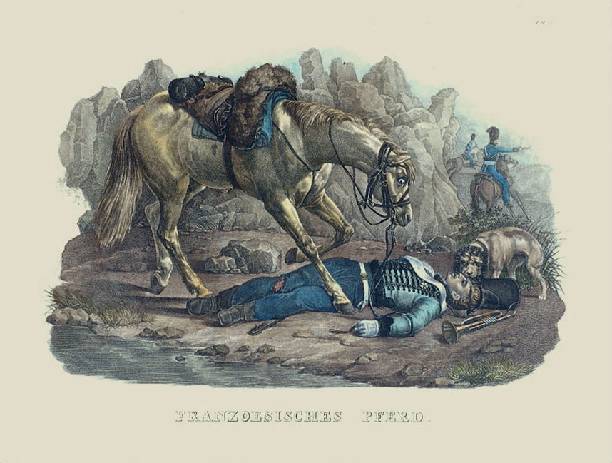 Franzoesisches Pferd (French Horse): Karl Brodtmann 1824