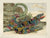 Lizard: Maria Sibylla Merian 1719