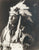 Eagle Elk - Sioux: Rinehart 1898 [1930]